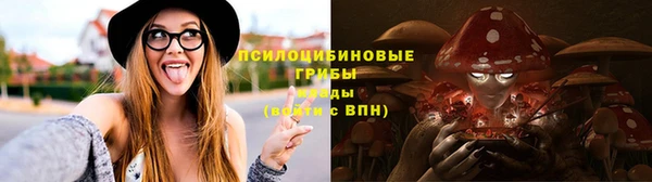 гидропоника Наволоки