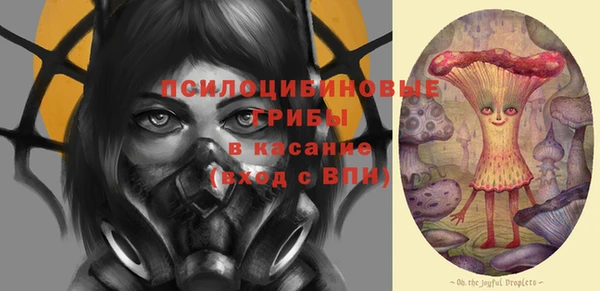 альфа пвп Надым
