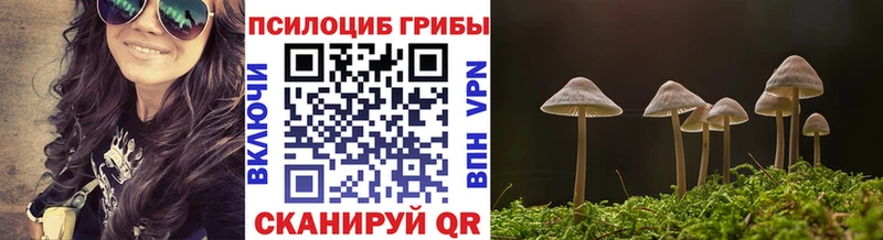 Галлюциногенные грибы ЛСД  магазин продажи наркотиков  Новокузнецк 