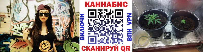 Шишки марихуана Bruce Banner  сколько стоит  Новокузнецк 